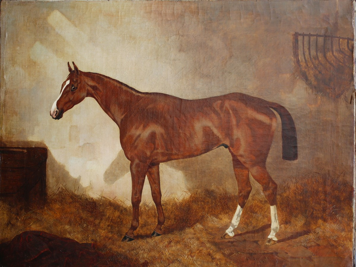 English School, Late 19th Century, Portrait Of An Alzan Horse In Its Box, Oil On Canvas. -photo-2