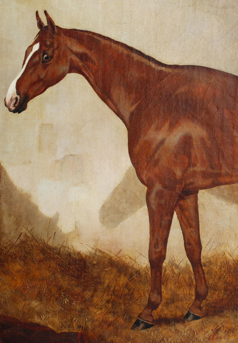 English School, Late 19th Century, Portrait Of An Alzan Horse In Its Box, Oil On Canvas. -photo-3