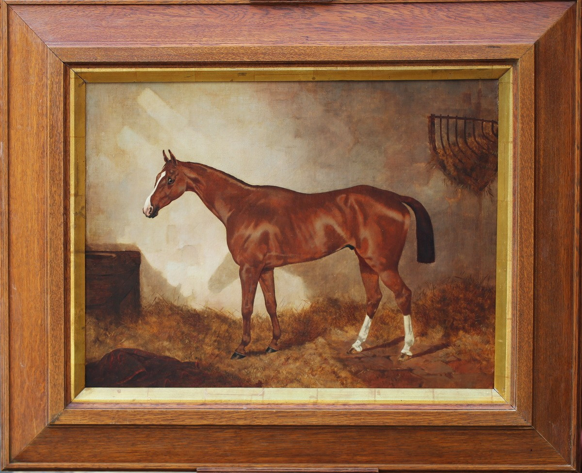 English School, Late 19th Century, Portrait Of An Alzan Horse In Its Box, Oil On Canvas. 