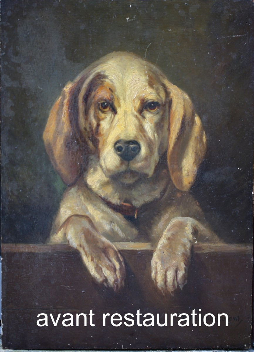 Ernest Reculon-Dupont 1861- , portrait du chien PATAUD en 1899.-photo-4