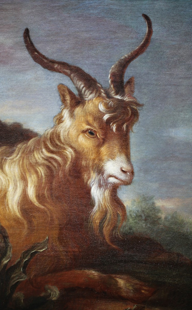 Francesco Londonio 1723-1783 Attributed To, Goat, Sheep And Dog.-photo-3