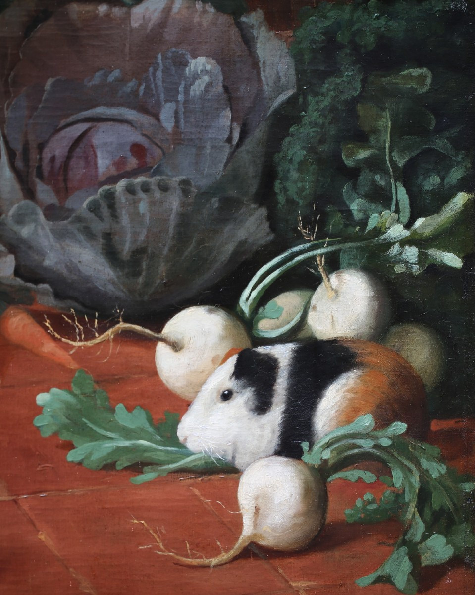 Ecole italienne fin du XIXème, chien assis regardant un cochon d'inde dans les légumes-photo-1