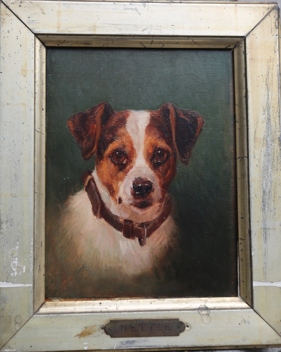 Ecole Française début XXème , portrait de chien NETTLE jack Russel, huile sur bois.