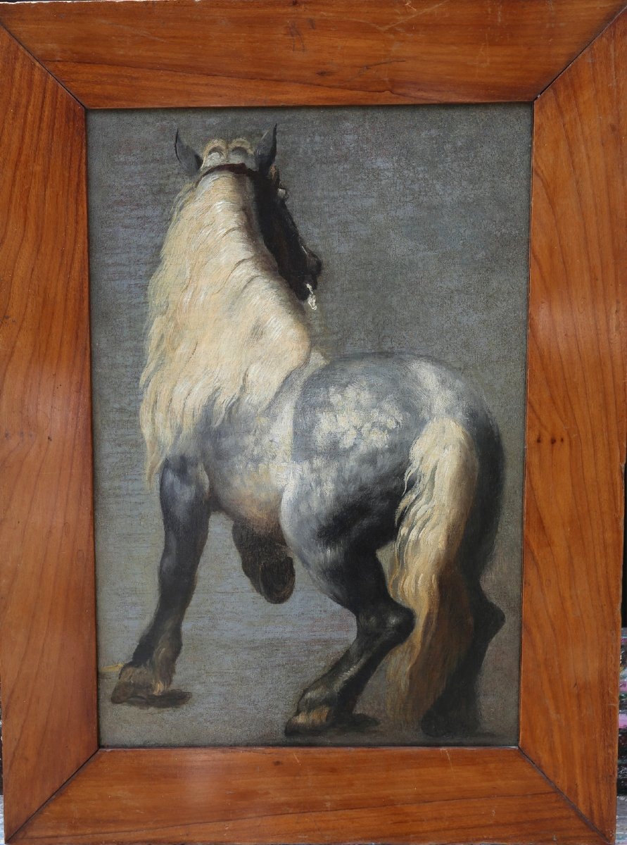 Ecole française du XIXème dans le goût de Géricault, cheval percheron gris pommelé de dos.