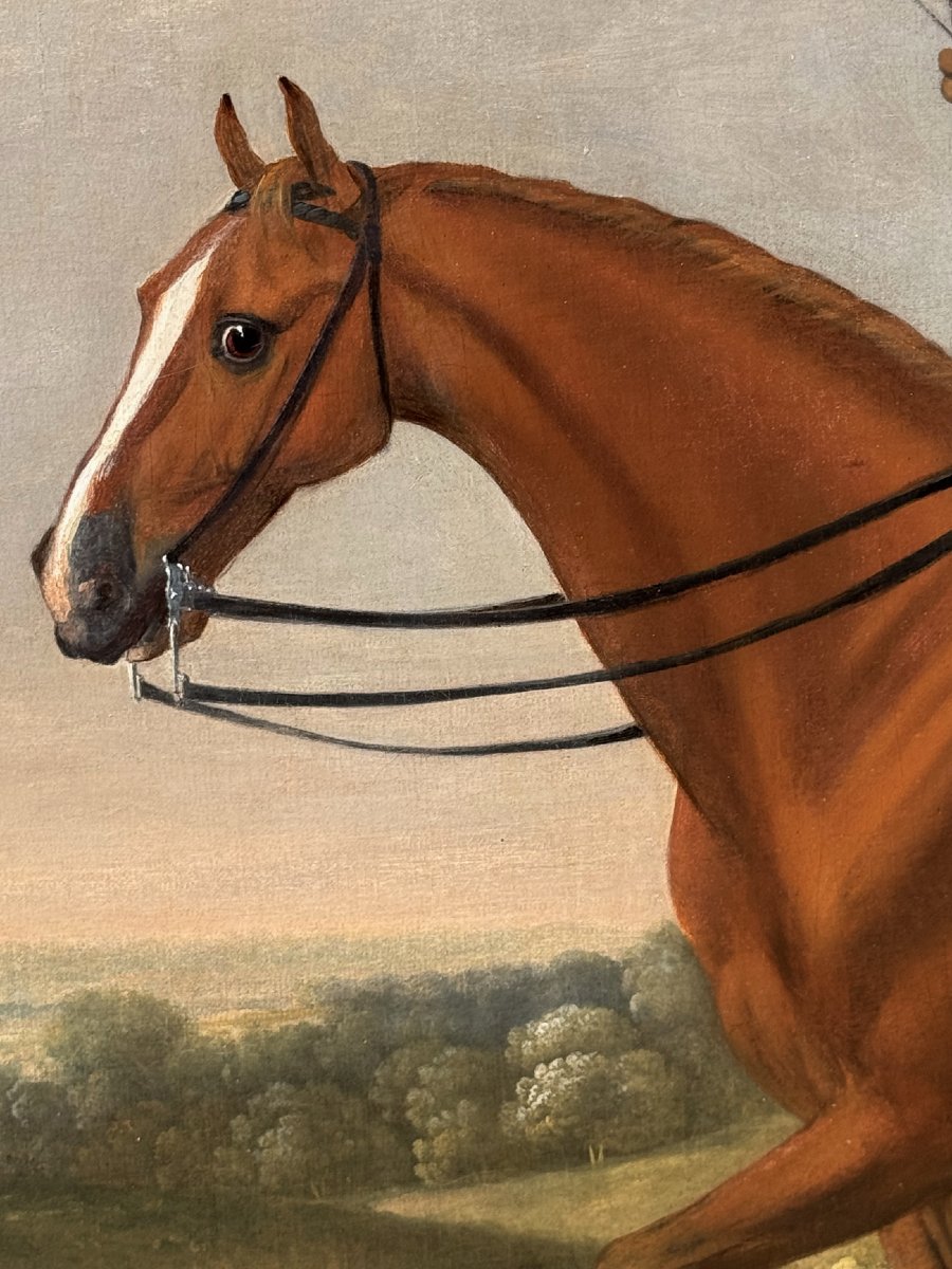 Francis I SARTORIUS 1734-1804 portrait d'un gentilhomme sur son cheval de chasse.-photo-4