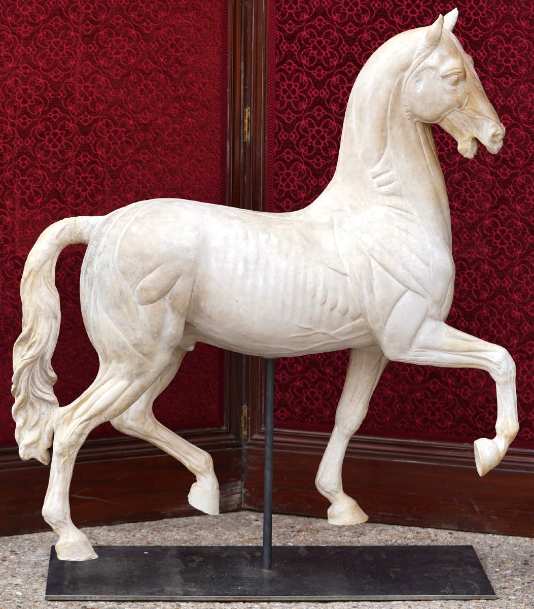 Large Plaster Sculpture Of A Flayed Horse, An Early 20th-century Work Based On A Design By Antonio Canova-photo-4