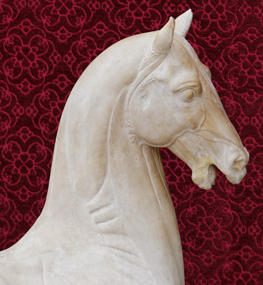 Large Plaster Sculpture Of A Flayed Horse, An Early 20th-century Work Based On A Design By Antonio Canova-photo-1