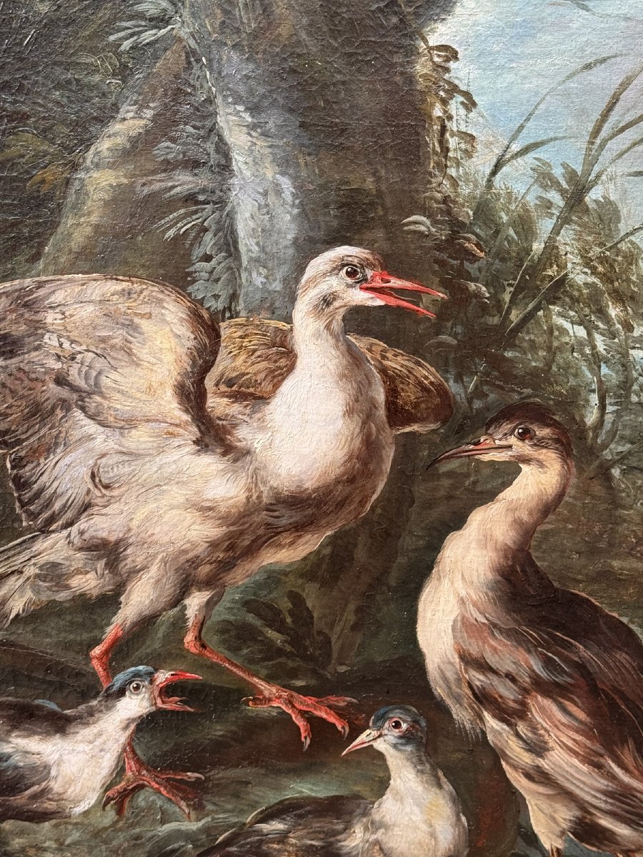 Angelo Maria Crivelli, Known As Crivellone, Milan, C. 1660–1730, Bittern And Other Birds-photo-2