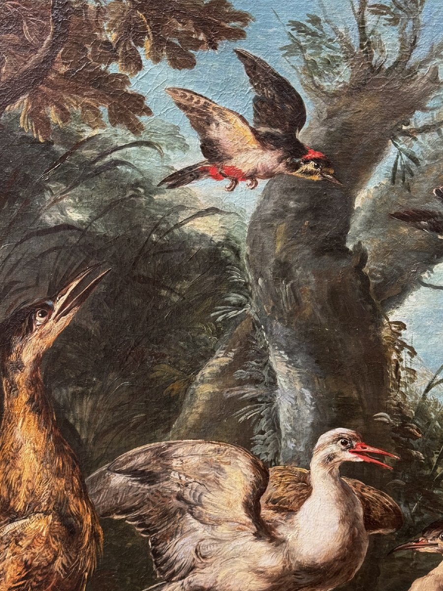 Angelo Maria Crivelli, Known As Crivellone, Milan, C. 1660–1730, Bittern And Other Birds-photo-3