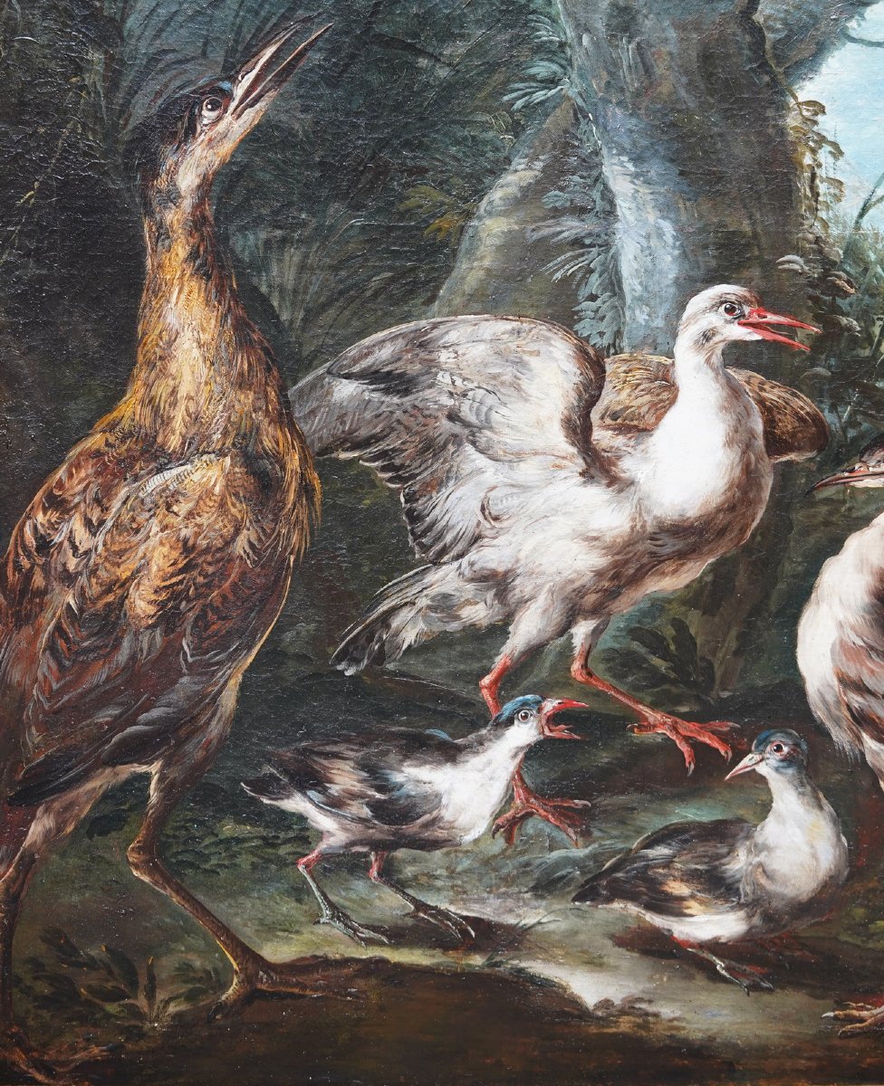 Angelo Maria Crivelli, Known As Crivellone, Milan, C. 1660–1730, Bittern And Other Birds-photo-4