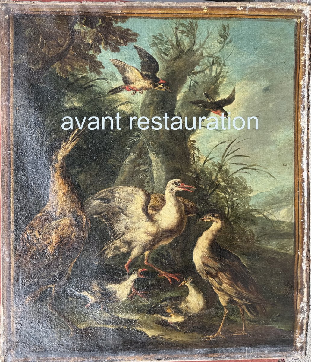 Angelo Maria Crivelli, Known As Crivellone, Milan, C. 1660–1730, Bittern And Other Birds-photo-2