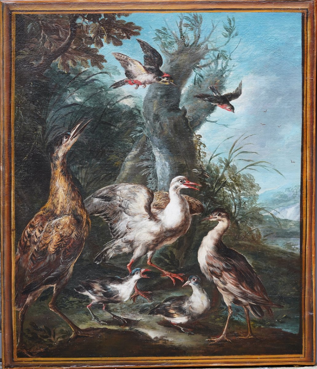 Angelo Maria Crivelli, Known As Crivellone, Milan, C. 1660–1730, Bittern And Other Birds