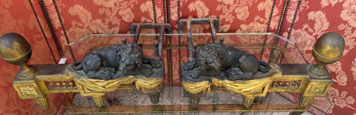 Pair Of Patinated And Gilded Bronze Andirons From The Louis XVI Period, Featuring Reclining, Roaring Lions.-photo-2