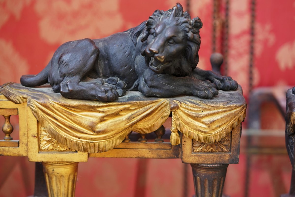 Pair Of Patinated And Gilded Bronze Andirons From The Louis XVI Period, Featuring Reclining, Roaring Lions.-photo-4