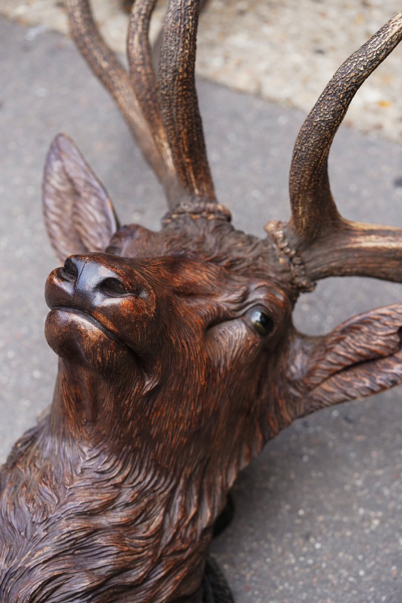 19th-century Germany, Large 12-piece Deer Antler Hunting Trophy With A Carved Wooden Head-photo-2