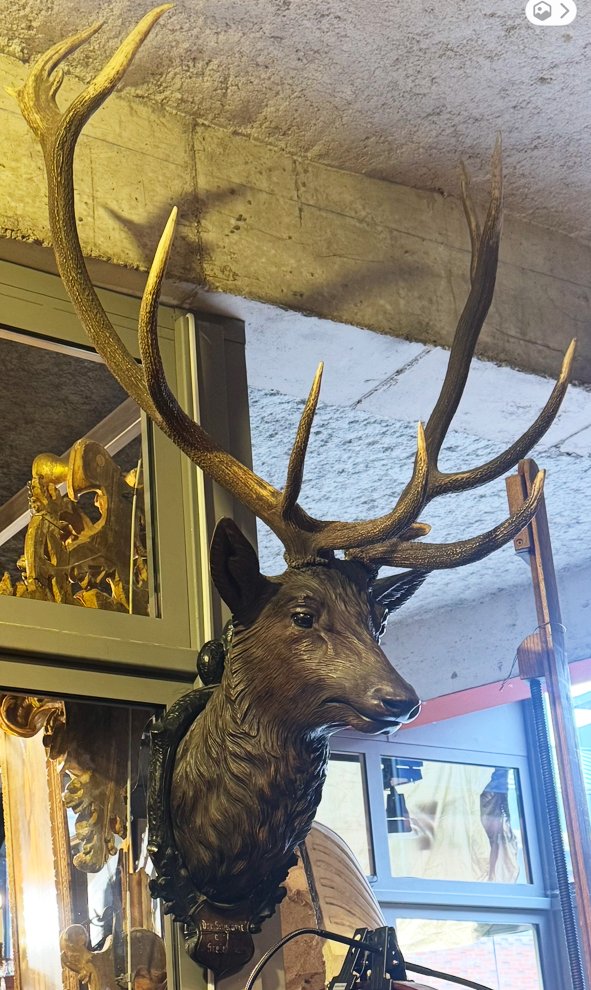 19th-century Germany, Large 12-piece Deer Antler Hunting Trophy With A Carved Wooden Head-photo-4