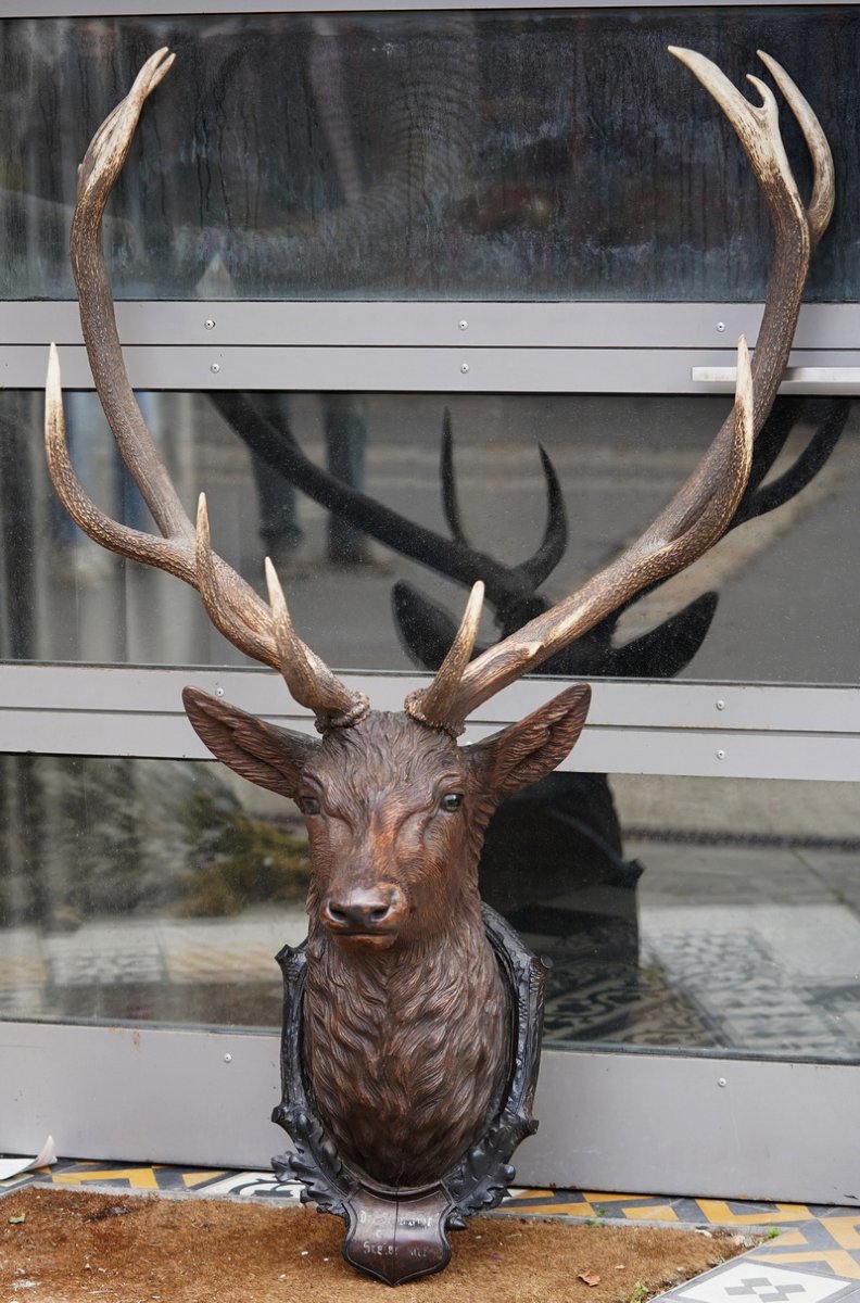 19th-century Germany, Large 12-piece Deer Antler Hunting Trophy With A Carved Wooden Head