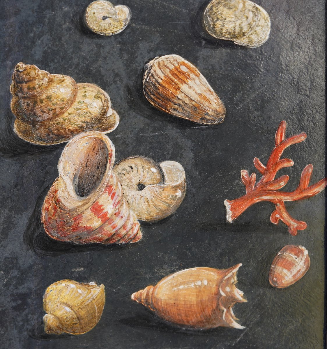 17th-century Italian School, Associated With Paolo Porpora, Study Of Seashells, Oil On Slate.-photo-4