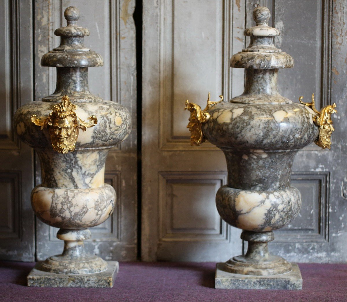 Paire De Vases Couverts Ornementaux  Milieu Du XIXème