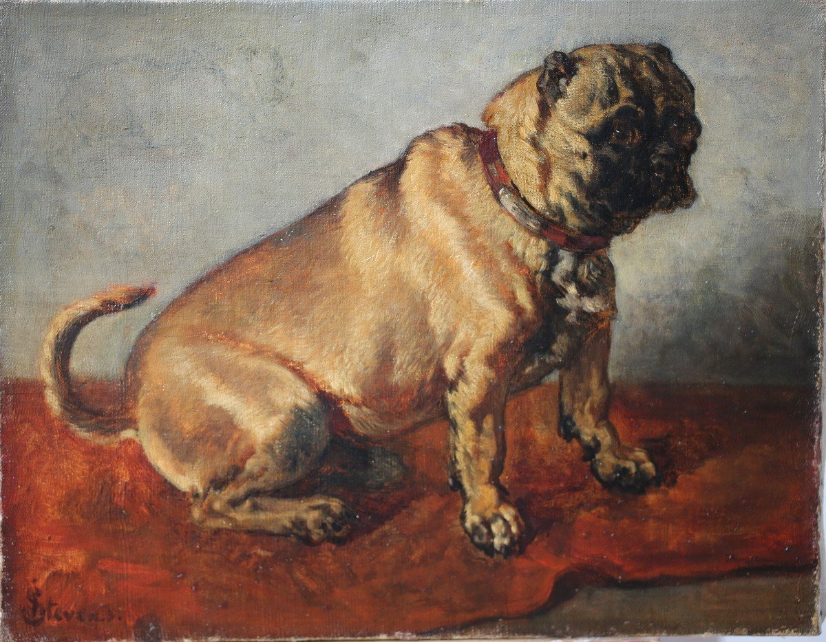 Joseph Edouard Stevens (1819-1892), Portrait Of A Pug.