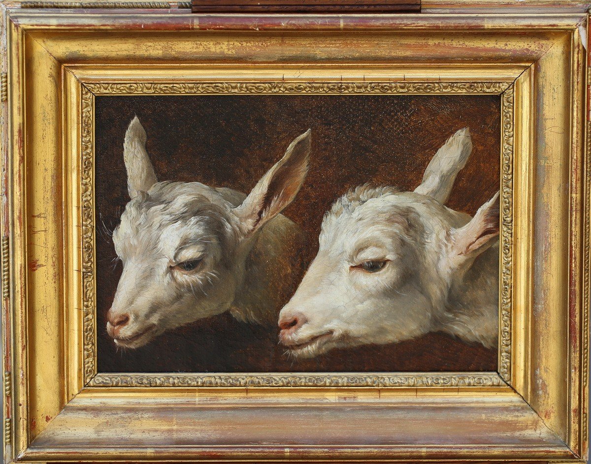 French School Of The XVIII Circle Of Jean Baptiste Huet, Study Of Kids Heads.