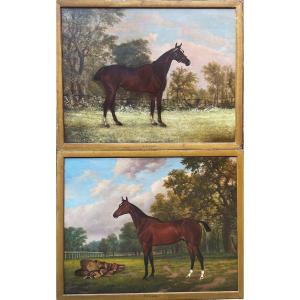 Thomas Percy Earl 1874-1947, Pair Of Portraits Of The Scepter Mare And Yearling Ard Patrick.