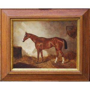 English School, Late 19th Century, Portrait Of An Alzan Horse In Its Box, Oil On Canvas. 