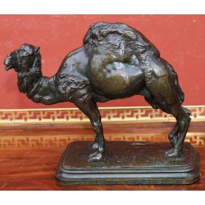 Emmanuel Frémiet 1824-1910 Dromedary, Rare Bronze Cast With Brown Patina Circa 1847 