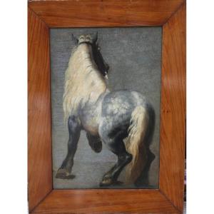 Ecole française du XIXème dans le goût de Géricault, cheval percheron gris pommelé de dos.