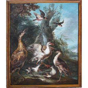 Angelo Maria CRIVELLI dit CRIVELLONE Milan vers 1660-1730, Butor et autres volatilles