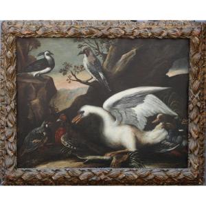 Italian Work, Important 17th Century Frame And Painting Of Birds