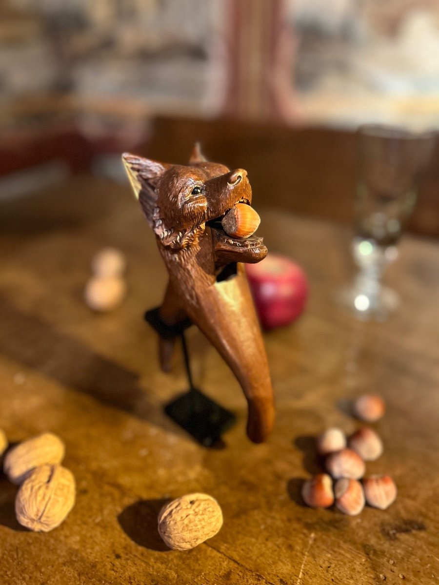 Casse-noisette, Loup-photo-4
