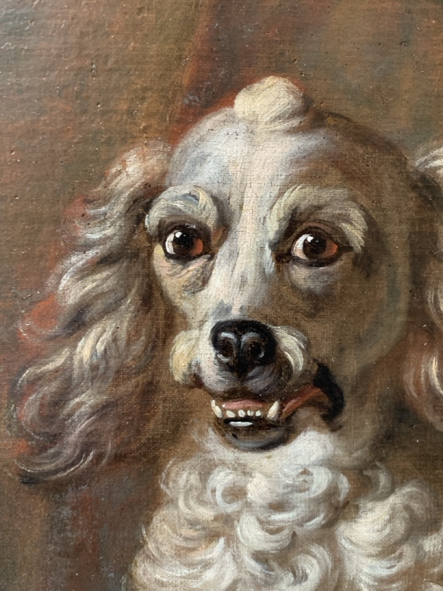 « Portrait de femme avec son chien » vers 1740-photo-1