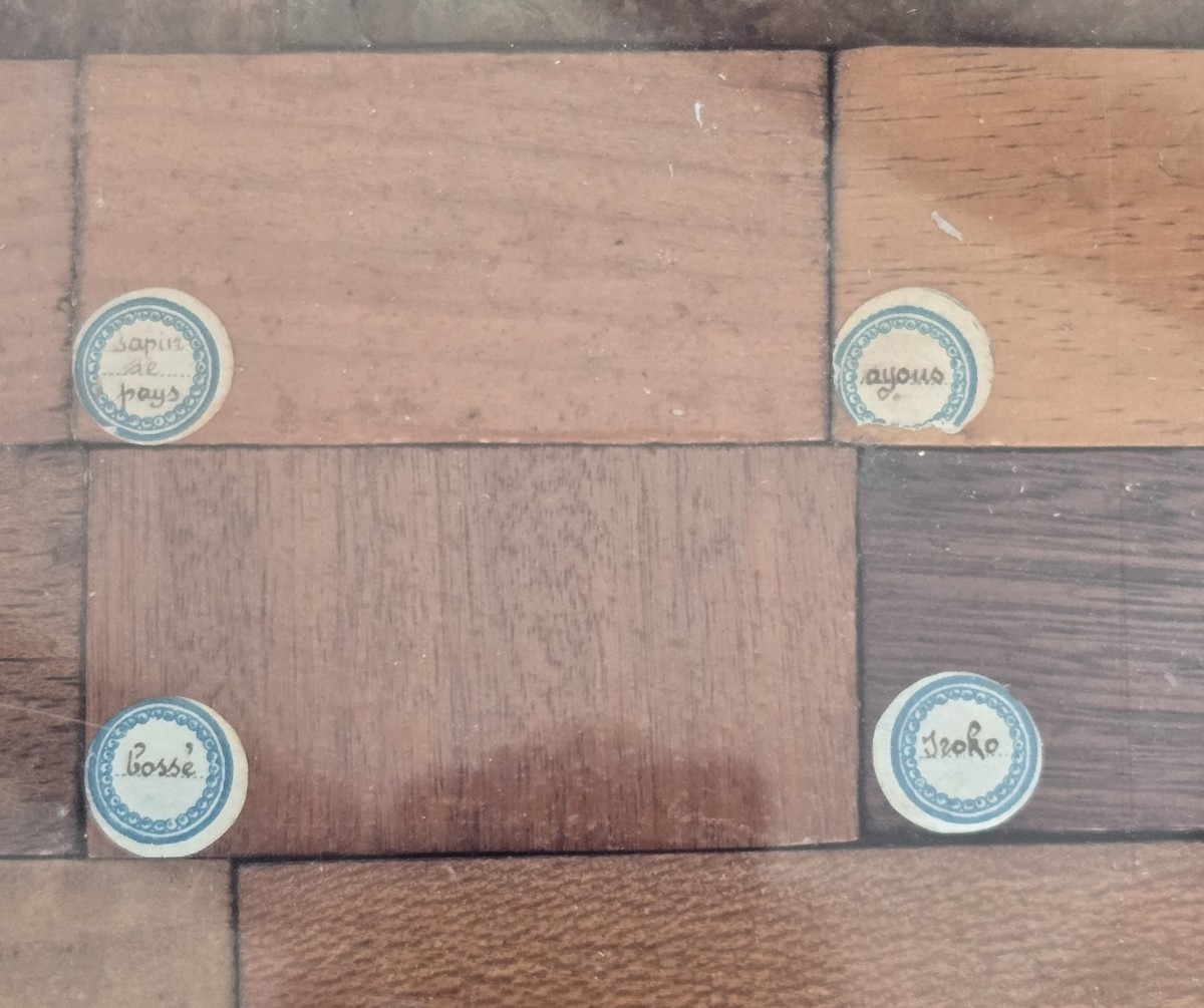 Wood Species Samples-photo-1