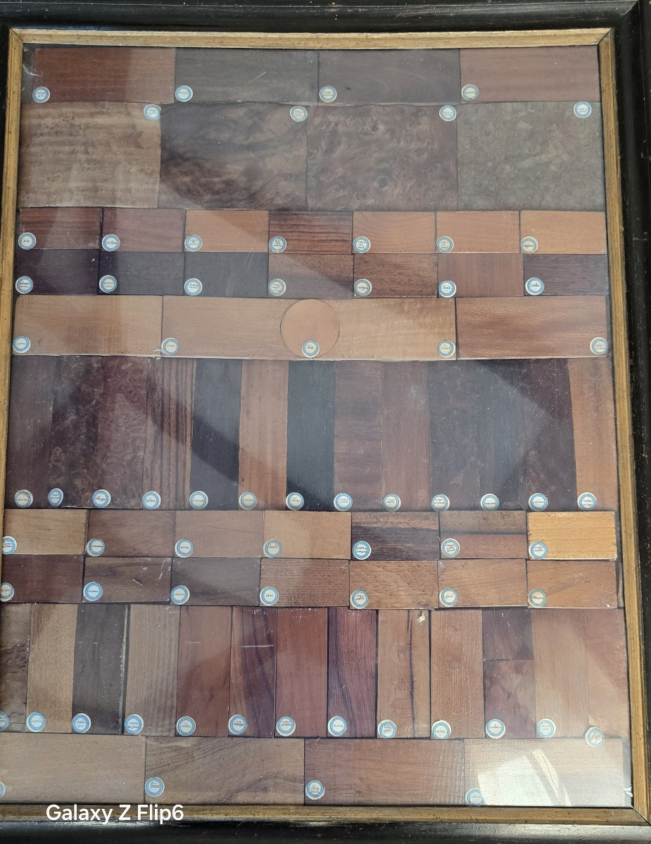 Wood Species Samples