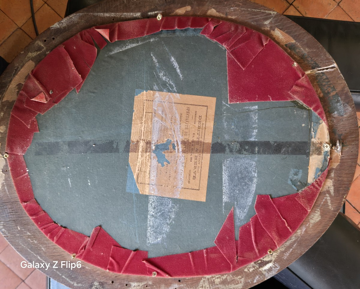 Egg Collection-photo-2