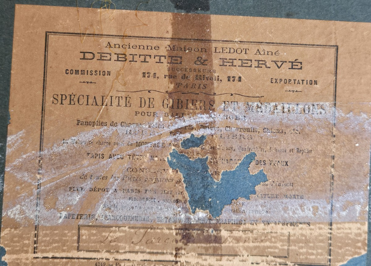 Egg Collection-photo-3