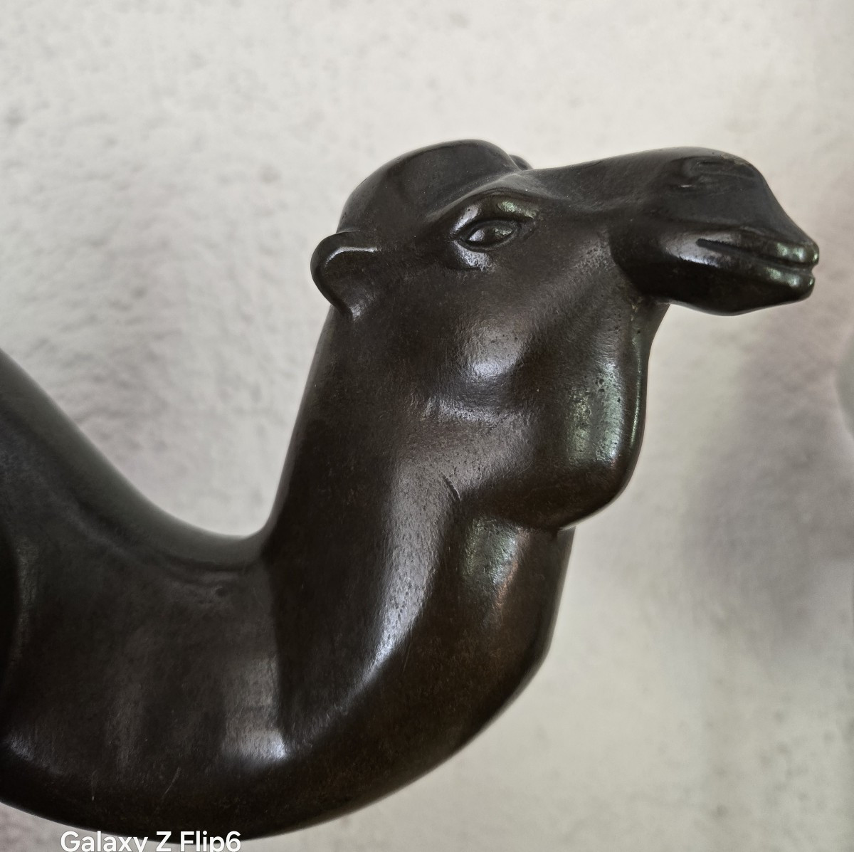 Dromedary In Bronze-photo-3