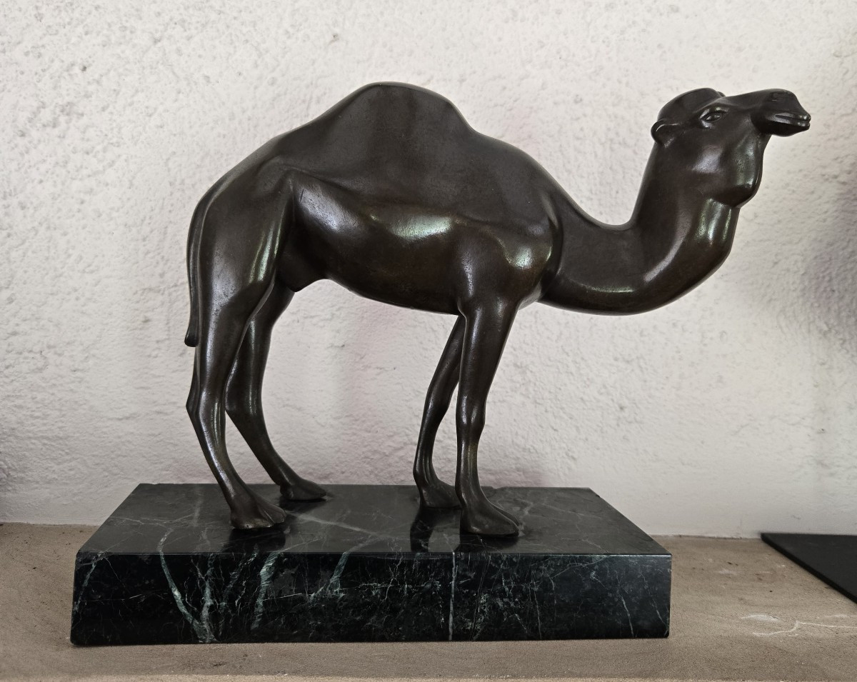 Dromedary In Bronze