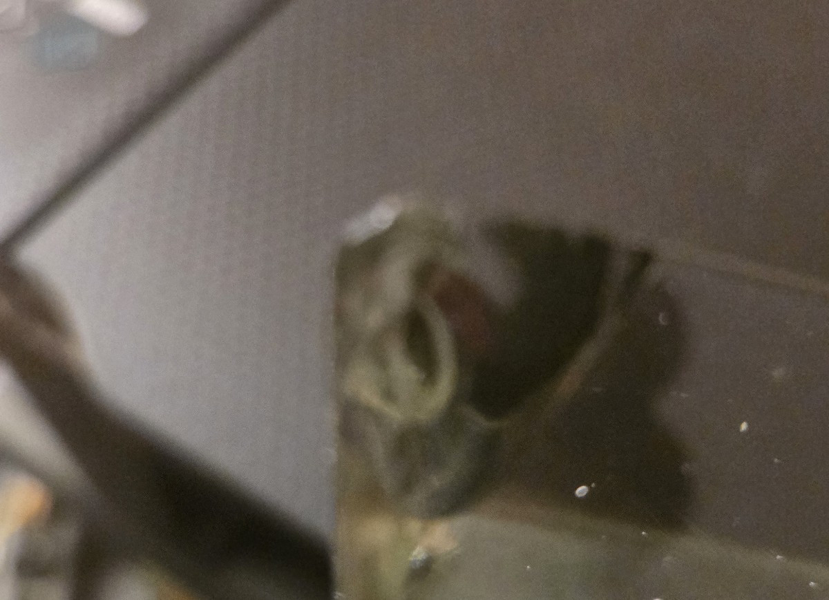 Prism-photo-1