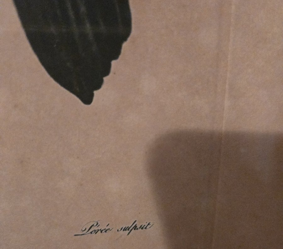 Suite Of Three Engravings-photo-4