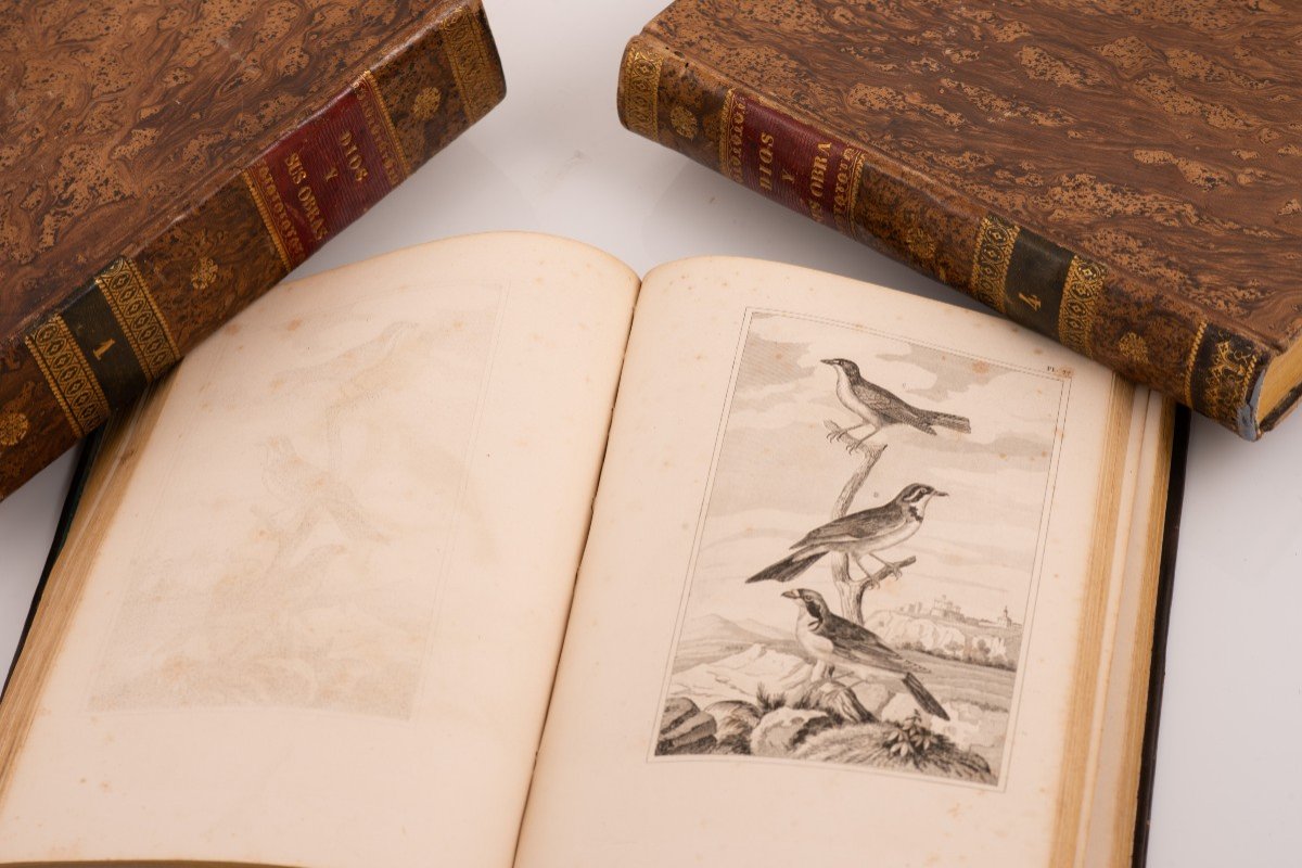 Trois Volumes, Dieu Et Ses œuvres (...). Barcelone, J. Verdaguer, 1843 Et 1841.-photo-2