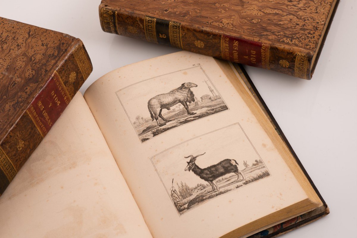 Trois Volumes, Dieu Et Ses œuvres (...). Barcelone, J. Verdaguer, 1843 Et 1841.-photo-5