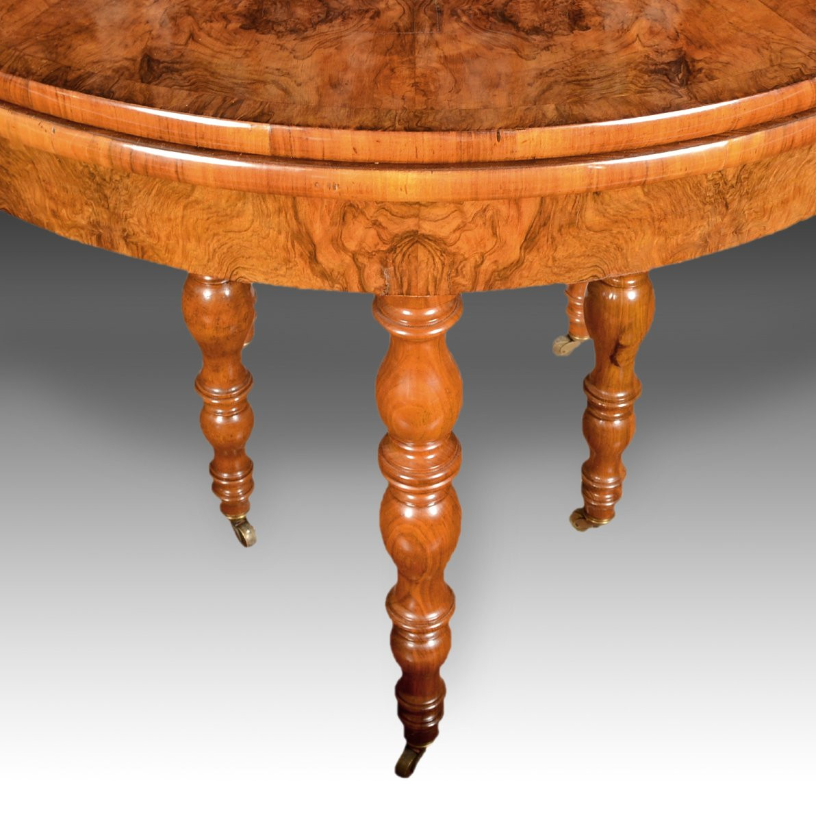 Table Pliante Extensible. Noyer Et Racine De Noyer. 19e Siècle. -photo-3