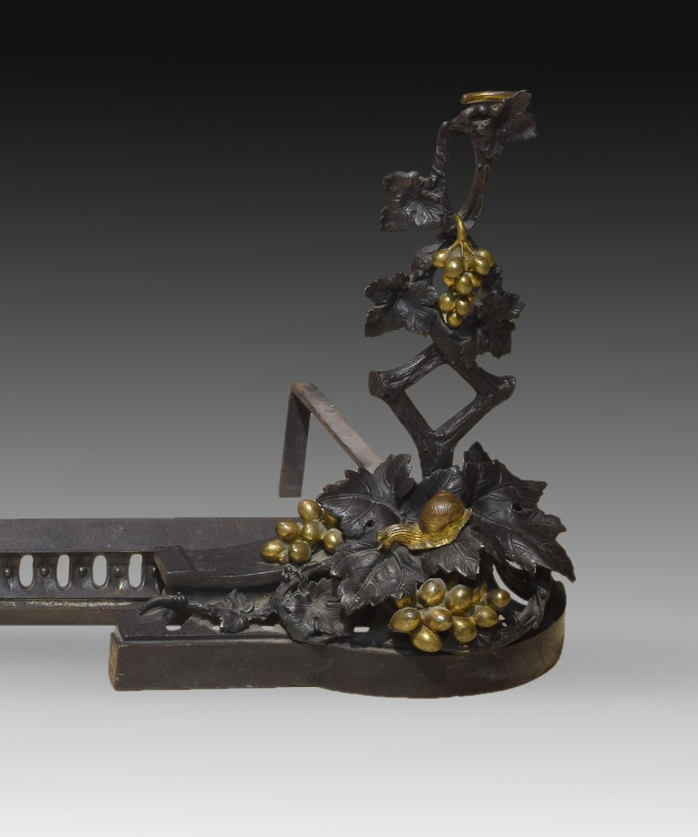 Pair Of Andirons. Blued And Gilded Bronze, Iron. 19th Century. -photo-1