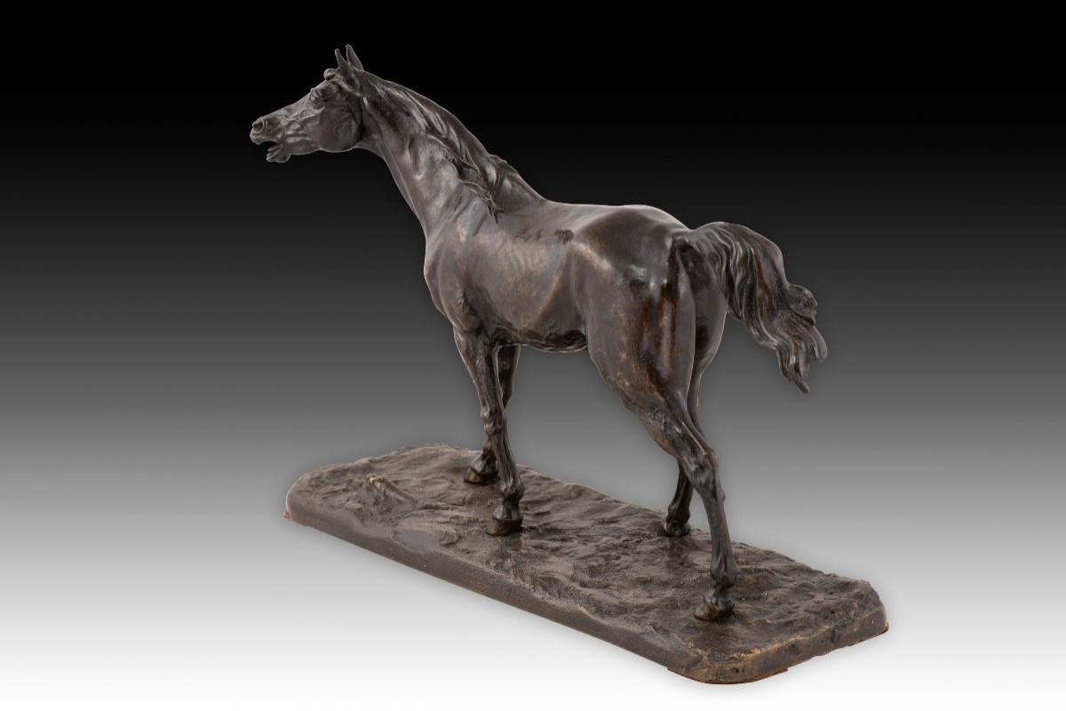  Horse. Patinated Metal. 19th Century.  -photo-3