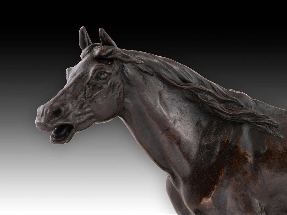  Horse. Patinated Metal. 19th Century.  -photo-5