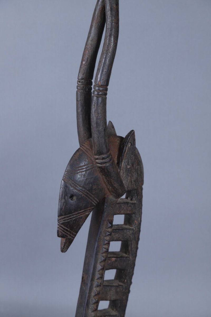 Figure De Cimier - Mali -photo-1