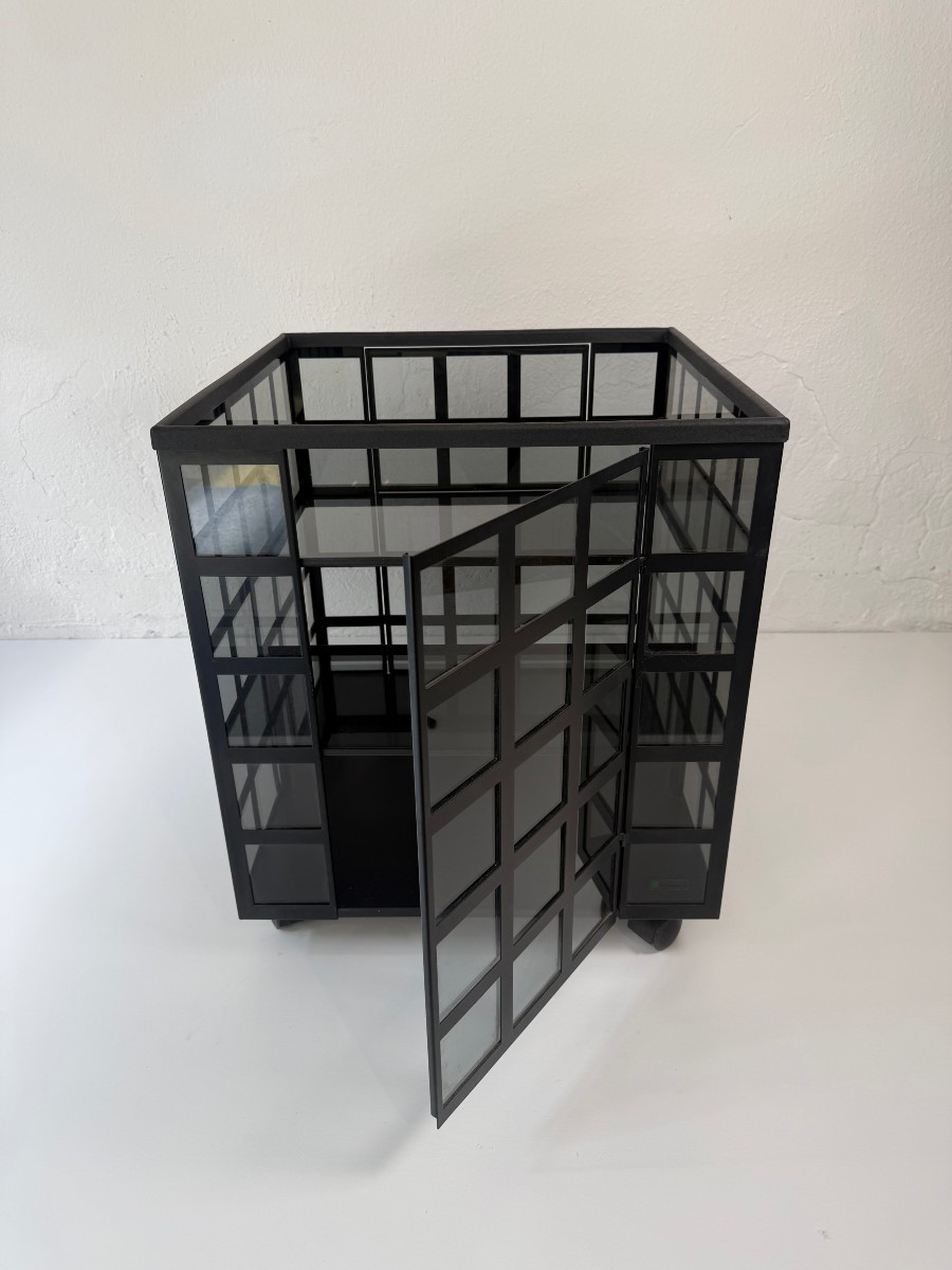 Anna Anselmi For Bieffeplast, "go Go" Bar Cart - 1970s-photo-4