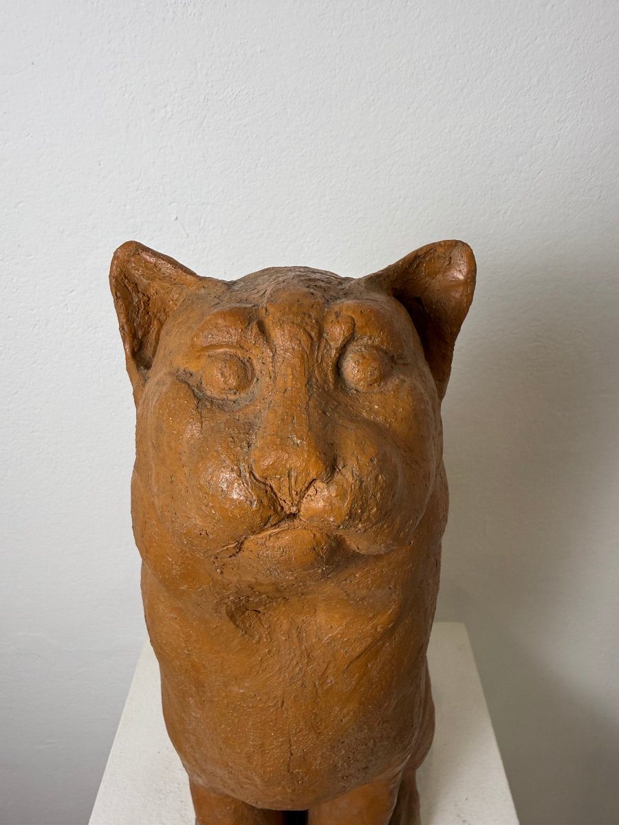 Terracotta Sculpture Of A Seated Cat—19th Century. Montelupo Fiorentino, Tuscany -photo-2
